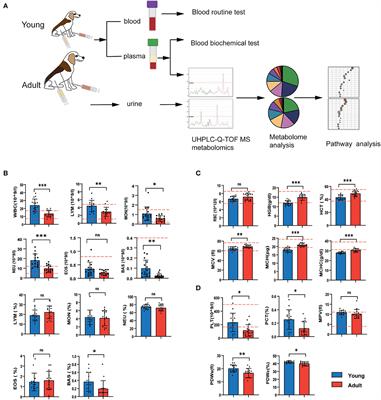 Comparative plasma and urine metabolomics analysis of juvenile and adult canines